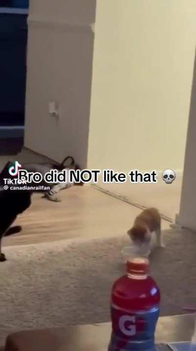 Wunkus would have preferred if he didn’t do that.