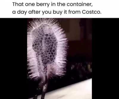 Disregard the required post title