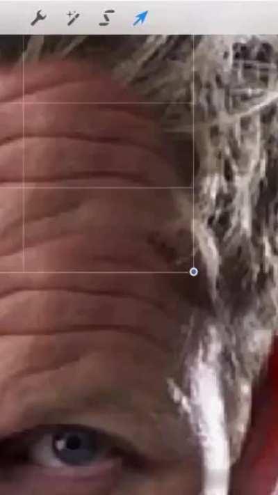 Blursed Gordon Ramsay.