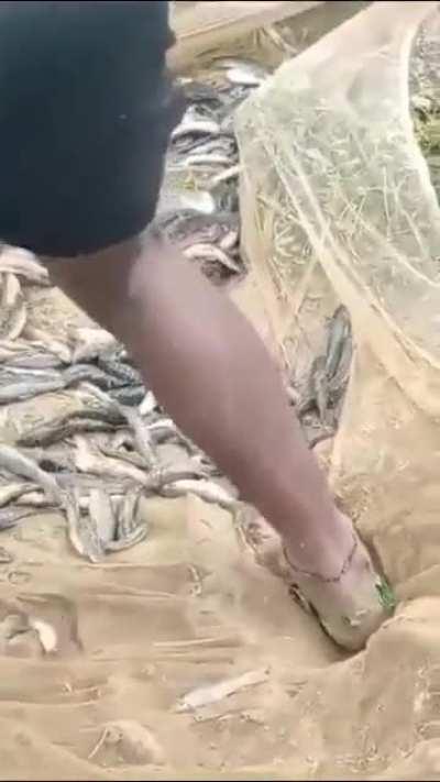 Frugal Innovation - Kerala Monsoon Edition 