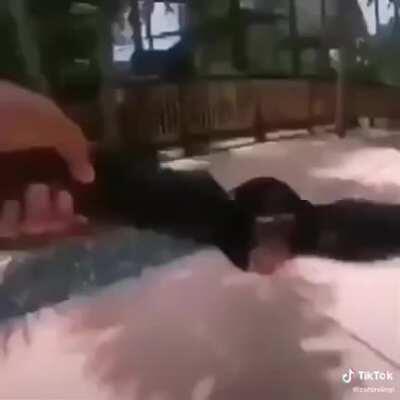 Disfruta😎🔥👌