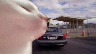 When you cross the New Mexico border