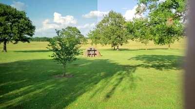 Father put a firecracker in a Microwave (slow motion)