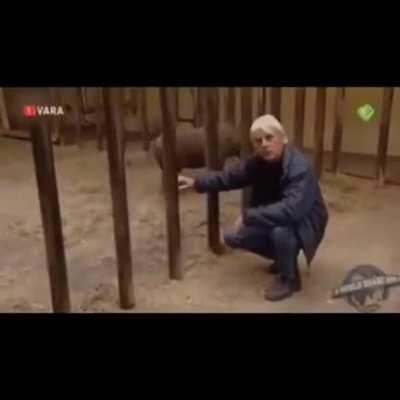 To build a cage to keep the animals secured.