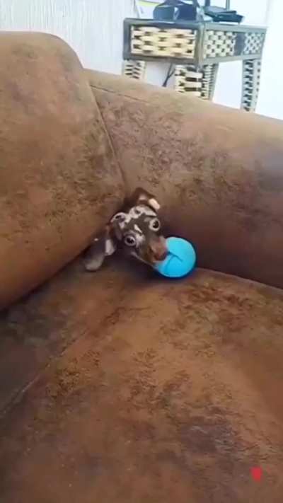 My blue ball people need me