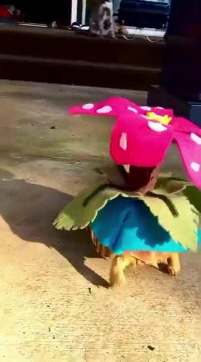 An incredibly talented cosplayer