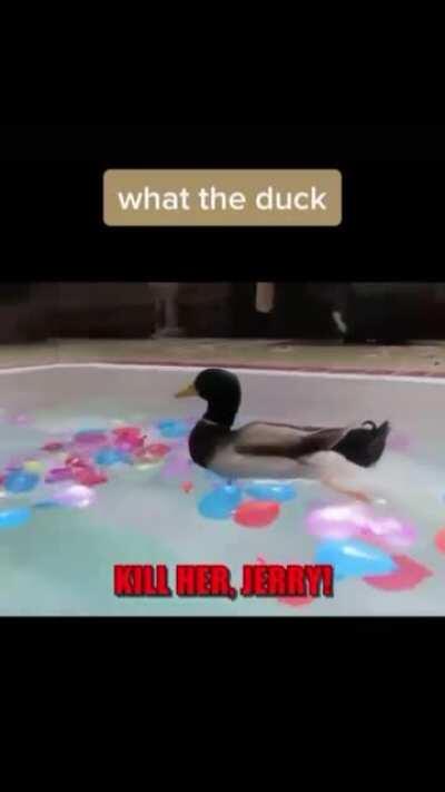 Jerry knows what he wants