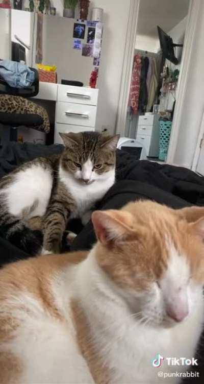 You can tell this was a long time coming