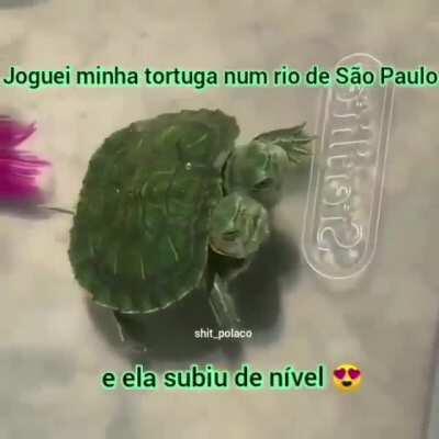 Daki a pouco vira uma tartaruga ninja 😍😍