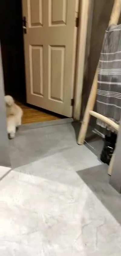 Slightly moved my foot