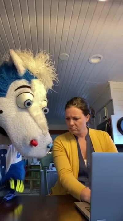 Welcome to all the new Dummy's! DBS and stay safe!