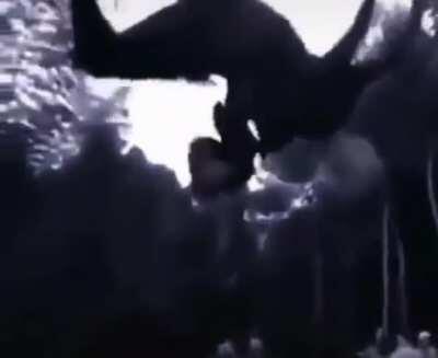 I'm just doing this so I can use the savevideo bot