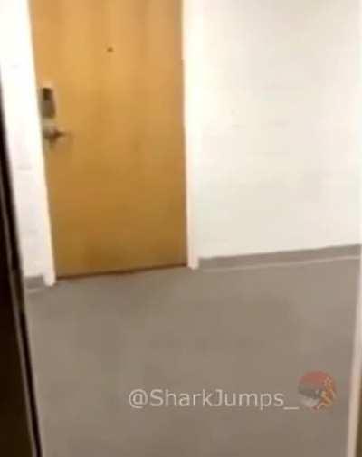 Blursed_merry chrismas guys