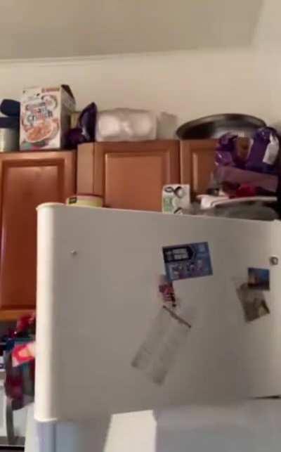 Nigga almost bit the dust tryna be a webslinger