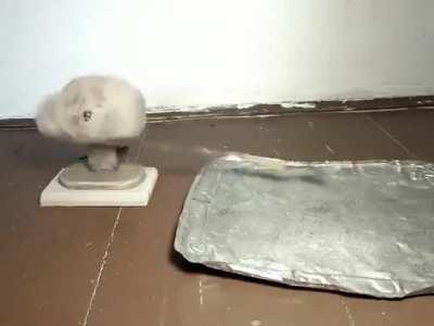 New album of Imagine Dragons caw caw