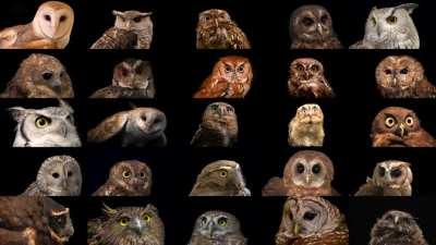 Today...you are either with us or against us