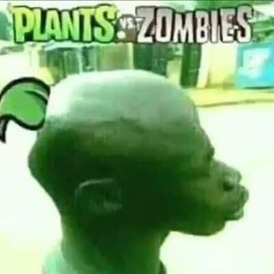 Plants vs Zombies