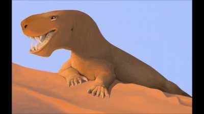 it's real inostrancevia hours