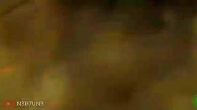 DOGE IS DEAD NOOOO!!!!!!!