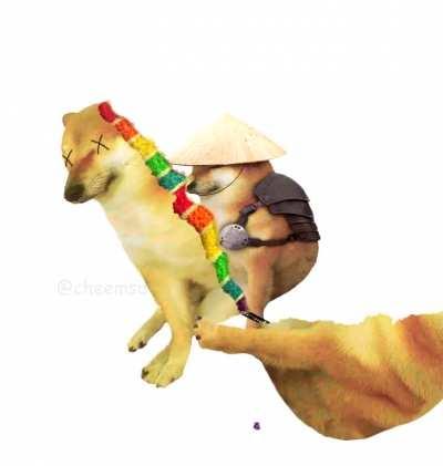 Dom’t trumst amyone