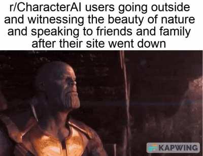 Can't rizz up fictional femboys anymore