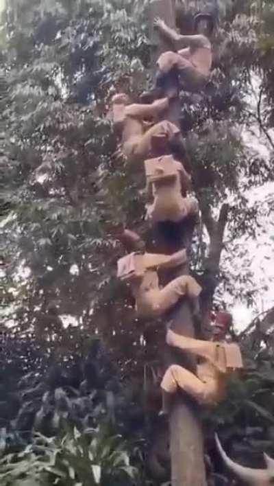 Как здорово, что все мы здесь сегодня собрались