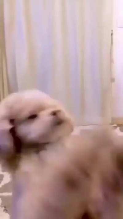 dancing like nobody elese