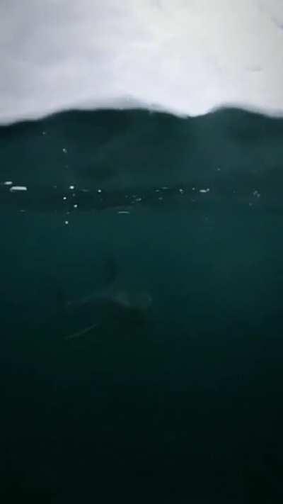 It's going to be just fine, don't look down.