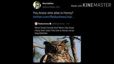 muscleman noooooooooooo dont say it