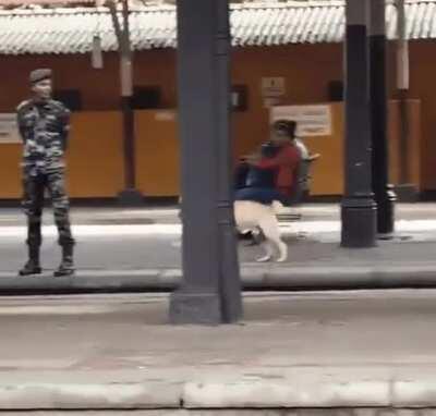 Police Authorized Slammies