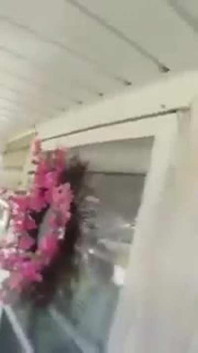 the collector of souls