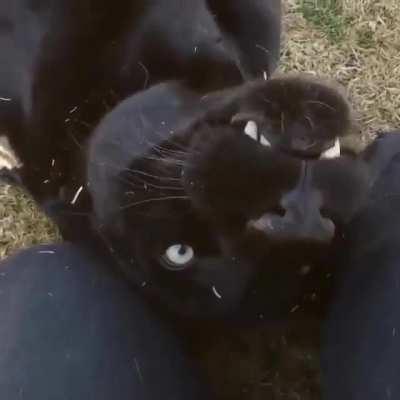 Who needs ten fingers anyway