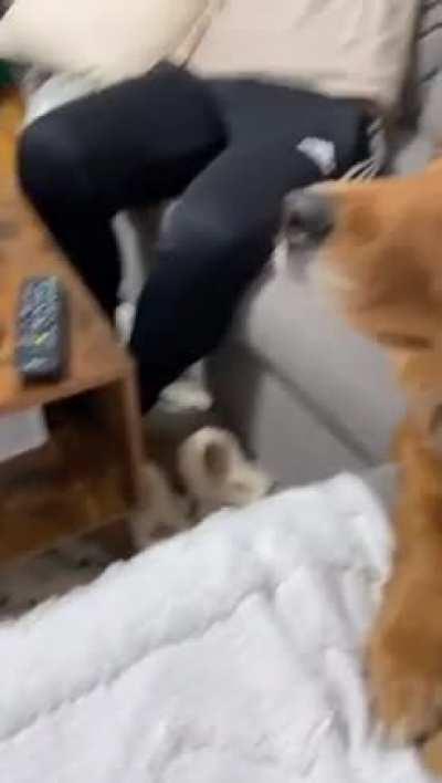 That is real enthusiasm