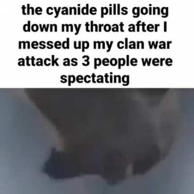 I'm frankly embarrassed 