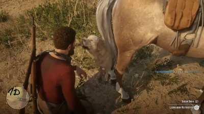 Safe to say my horse wasn't too happy that I met a good boy