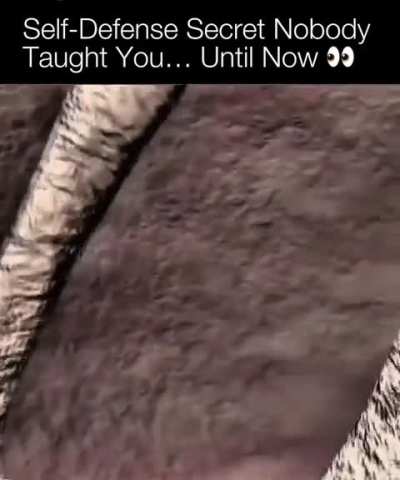 bet you haven’t seen this one before