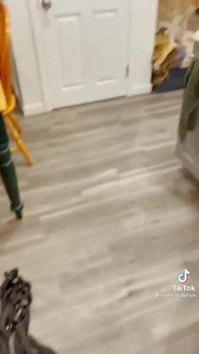 Mean lady don’t gib walkies 😡