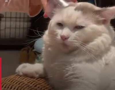 So interesting, kid...