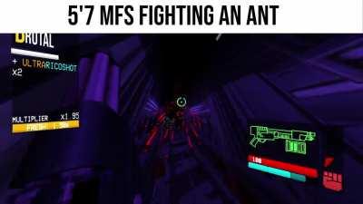 Leaked footage of me fighting a spider