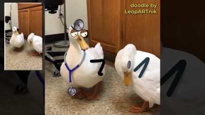 Special PATIENCE for a special kind of PATIENT and this DUCKtor is killing it (with sound)