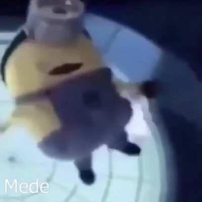 Siempre acabo volviendo 😔🤘