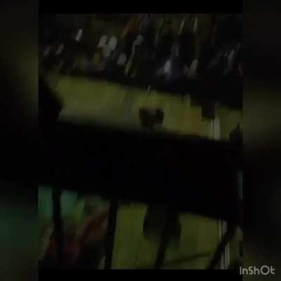 They thought this ‘rasslin move was a good idea 👀😬