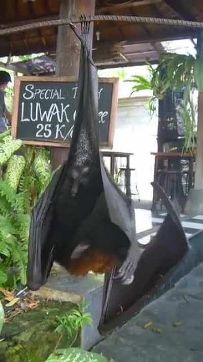 Aww. Cute little guy