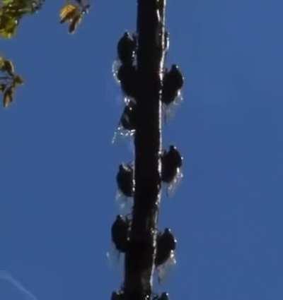 Ah yes, I do enjoy that light summer rain on a sunny day.