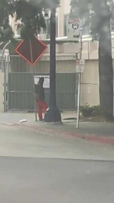 my man found a nice place to rest his ass