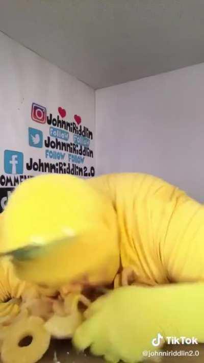 This man will never not be in my nightmares