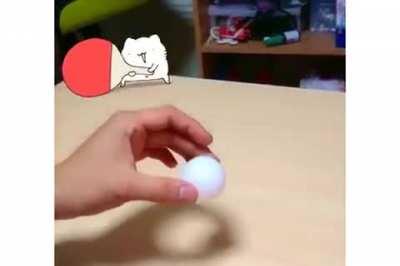 Ping pong game with kitty
