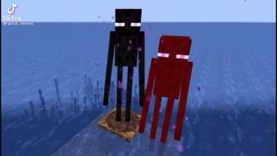 Enderman really said 