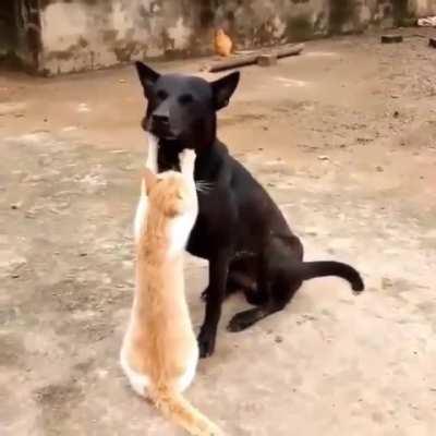 Don’t know if this has been cross posted here before but… cutest knead ever ❤️