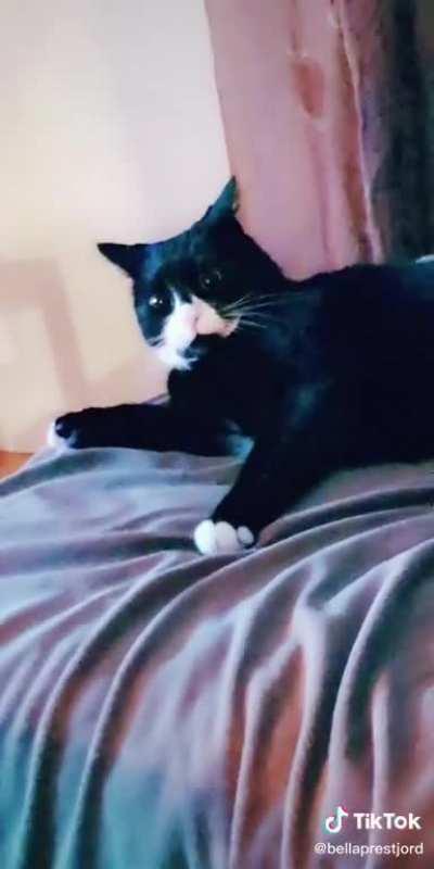 Jesus what did you eat???